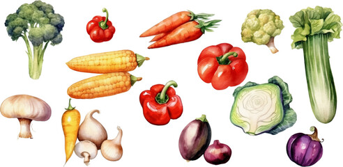 Set of watercolor mixed vegetables Easy to draw, white background 