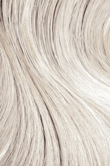 Blond hair close-up as a background. Women's long blonde hair. Beautifully styled wavy shiny curls. Hair coloring. Hairdressing procedures, extension. White hair