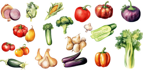 Set of watercolor mixed vegetables Easy to draw, white background 
