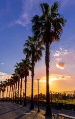 Obraz premium beautiful morning or evening alleywith high palms, walk way, paving stone road and amazing sunset or sunrise