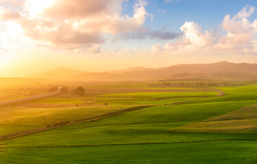 green spring hills with young grass and amazing growing fields and hills with beautiful bright cloudy sunset on background of rural landscape