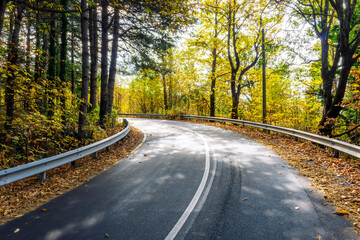 Fototapeta premium autumn road, leading to highland snow mountains with yellow and green trees and bushes on sides