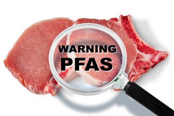 Fresh pork steak HACCP (Hazard Analysis and Critical Control Points) and searching for the...