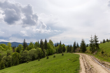 Mountain meadow with dirt road above the forest in Carpathians