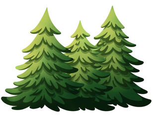Pine Trees, Fir Trees