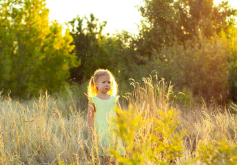 upset little child girl in the meadow among flying insects and mosquitoes at sunset in nature