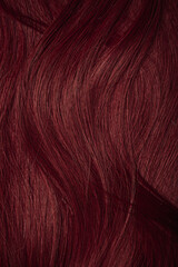 Dark red hair close-up as a background. Women's long brown hair. Beautifully styled wavy shiny curls. Coloring hair with bright shades. Hairdressing procedures, extension.