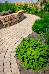 Paved path in herb garden and flower garden in patio and backyard