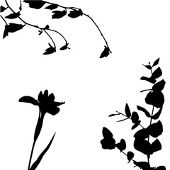 Botanical Vector Collection: Plant Silhouettes