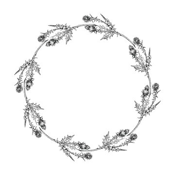 Ink hand drawn vector graphic sketch illustration. Flower circle wreath of thistle branches with buds and leaves. Nature bloom vegetation. Design for tourism, travel, wedding, print, fabric, card