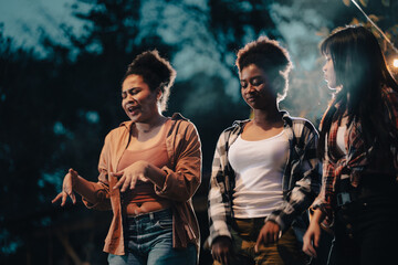 happy young woman friends person having fun to dance in bar-b-q food night party, camp fire friendship group in summer vacation holiday, nature campfire picnic with balefire in evening travel outdoor