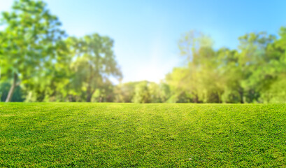 natural grass field background with blurred bokeh and sun rays - 610926201