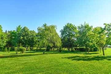 sunny landscape of green lawn and trees in summer park - 610926230
