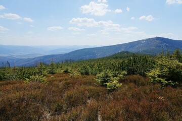 Barania Gora, 1,220 metres in Silesian Beskids near european Szczyrk town in Poland