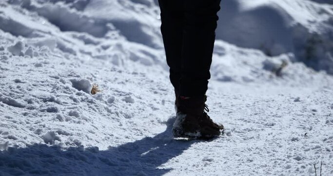 A woman in a parka walks through subzero snow in warm trail shoes. Snowflakes fall in the winter day as she braves the frigid climate.