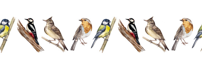 Watercolor seamless border with forest birds. Robin bird, lark, woodpecker, titmouse. Decoration of ribbons, adhesive tape, stationery, scrapbooking. Cute design, vintage style © Yana