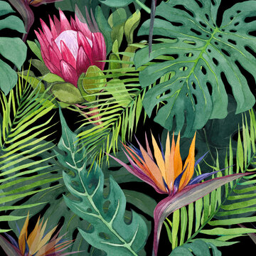 Watercolor seamless pattern with tropical leaves and protea and strelitzia flower. Hand drawn print for textile design, wrapping paper, stationery. Tropical theme, exotic and jungle.