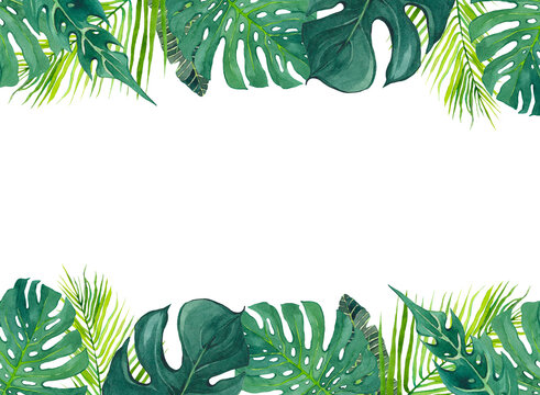 Watercolor rectangular frame with tropical greenery and monstera leaves. Exotic plants, monstera and palm leaves. Design and decoration of postcards, invitations with place for text.