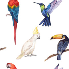 Watercolor seamless pattern with exotic birds on a white background. Print with cockatoo parrot, Macaw parrot, hummingbird and toucan. Wrapping paper, textile, scrapbooking, kids style
