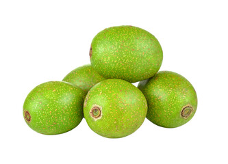 Wild olive on transparent png