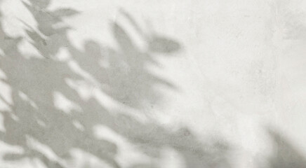 Close up texture of gray polished cement wall, beautiful foliage dappled sunlight, tropical tree leaf shadow for beauty, fashion, cosmetic, skincare, interior design decoration material background 3D