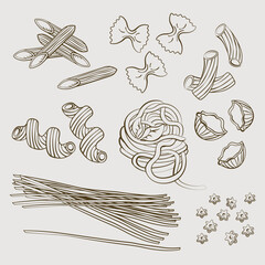 pasta vector sketch hand drawing in vector and illustration