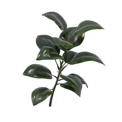 3D Render Realistic Ficus Plant. Green Leaves. Cut Out. Houseplant. Home Element.