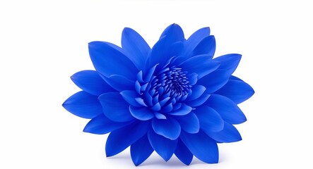 Blue Dahlia flower the tuberous garden plant isolated on white background with clipping path, generative ai