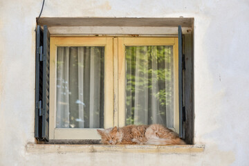 cat sleeping on the window ledge of an old house