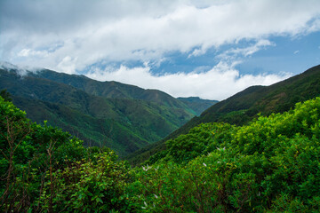 Fototapeta premium Mountain road winding along a green gorge with forest in the mountains. Aerial view over green hills, trees, road, and steep cliffs. Low clouds over Remutaka Crossing, North Island, New Zealand