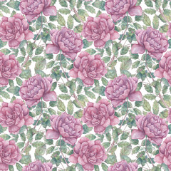 Seamless watercolor pattern with blooming rose branches and leaves. Botanical background with large pink flowers for wrapping paper, fabrics, printing, design, etc.