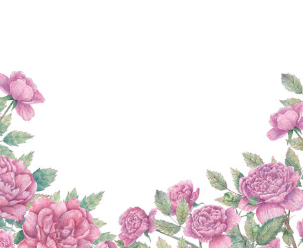 Rectangular watercolor frame with branches of blooming pink roses, buds and leaves. Botanical border for cards, flyers, invitations, design and more.