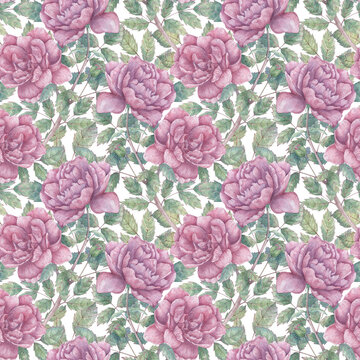 Seamless watercolor pattern with blooming rose branches and leaves. Botanical background with large pink flowers for wrapping paper, fabrics, printing, design, etc.