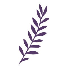 Leaf flat illustration