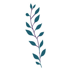 Leaf flat illustration