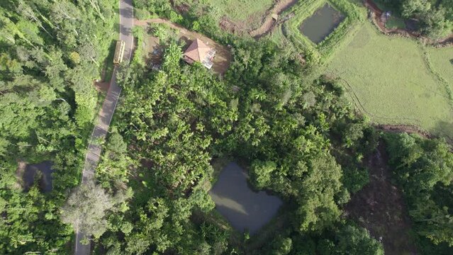 Coorg I Nature I Coffee I Lake I Clouds I Kakkabbe I Road I Small village 