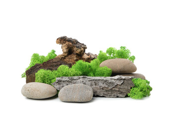 PNG photo, Moss isolated on white background