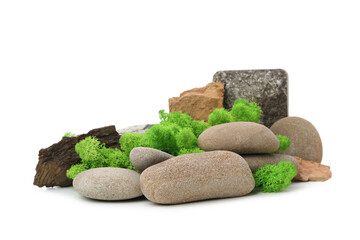 PNG photo, Moss isolated on white background