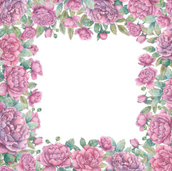 Square watercolor frame with blooming pink rose branches, buds and leaves. Botanical border for cards, flyers, invitations, design and more.