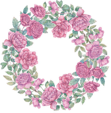 Round watercolor frame with blooming pink rose branches, buds and leaves. Botanical wreath for cards, flyers, invitations, design and more.