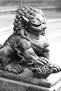 Guardian Lion Foo Fu dog guard. Stone statue