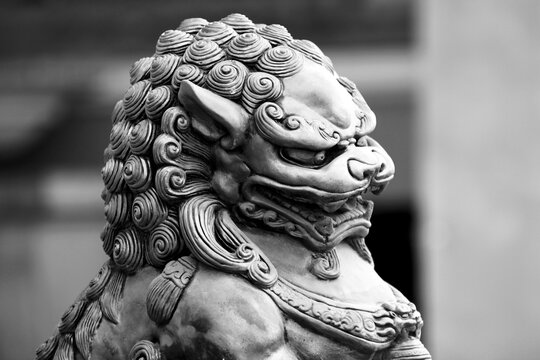 Stone statue. Guardian Lion Foo Fu dog guard. 