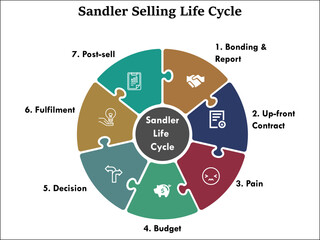 seven steps of Sandler Selling Life cycle with icons in an infographic template