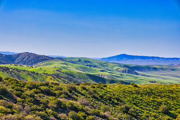 Exploring the back roads of the Carrizo plain in the spring