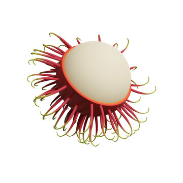 Rabutan, hairy fruit. 3d rendering