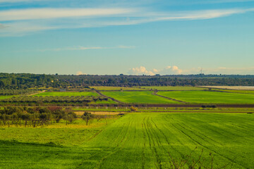 paesaggio agricolo