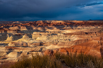 Painted Desert