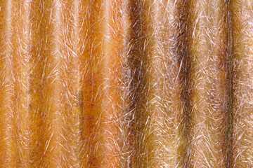 old galvanized sheet,abstract background,copy space
