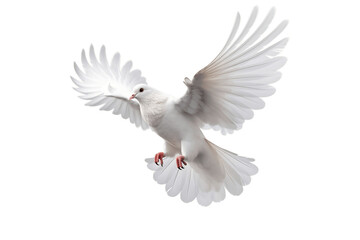 Dove on Isolated Transparent Background. Generative AI