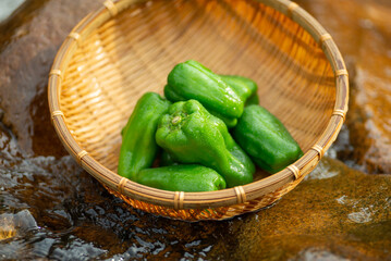 新鮮なピーマン